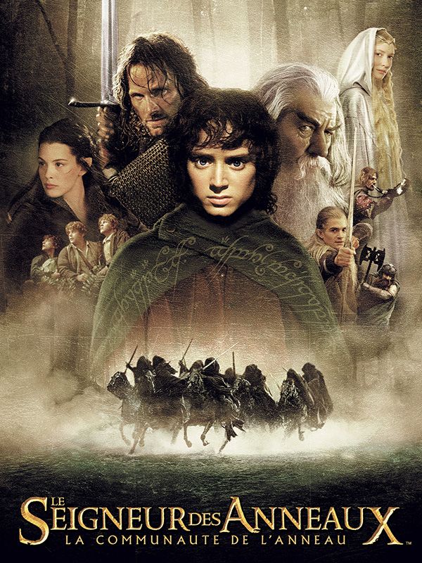 Le Seigneur des Anneaux (La Communauté de l&rsquo;Anneau&nbsp;2001)