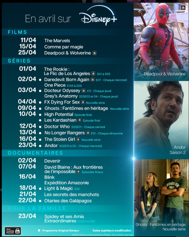 image_2025-04-02_131406347